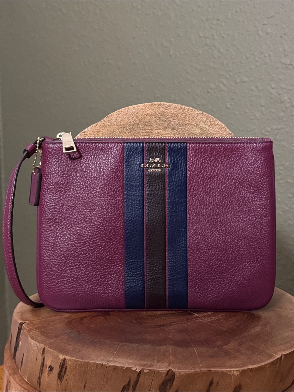 NWT COACH JES GALLERY POUCH WITH VARSITY STRIPE